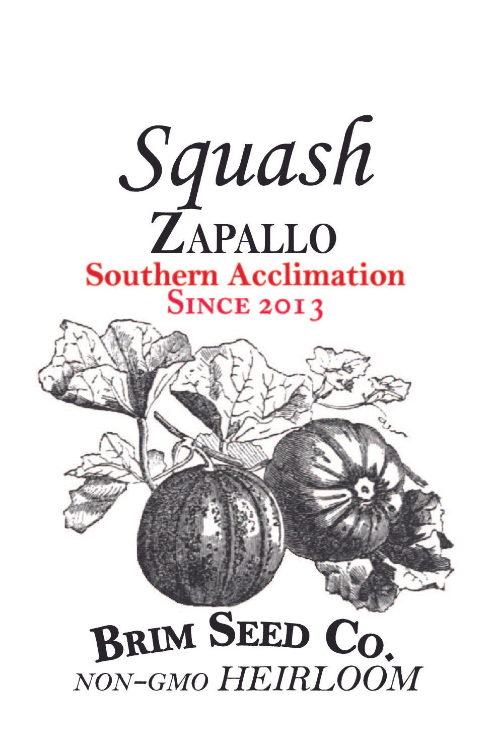 Thumbnail: Squash - Zapallo (Southern Acclimated)