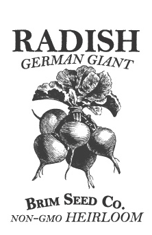 Thumbnail: Radish - German Giant