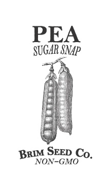 Thumbnail: Pea (sugar) - Sugar Snap
