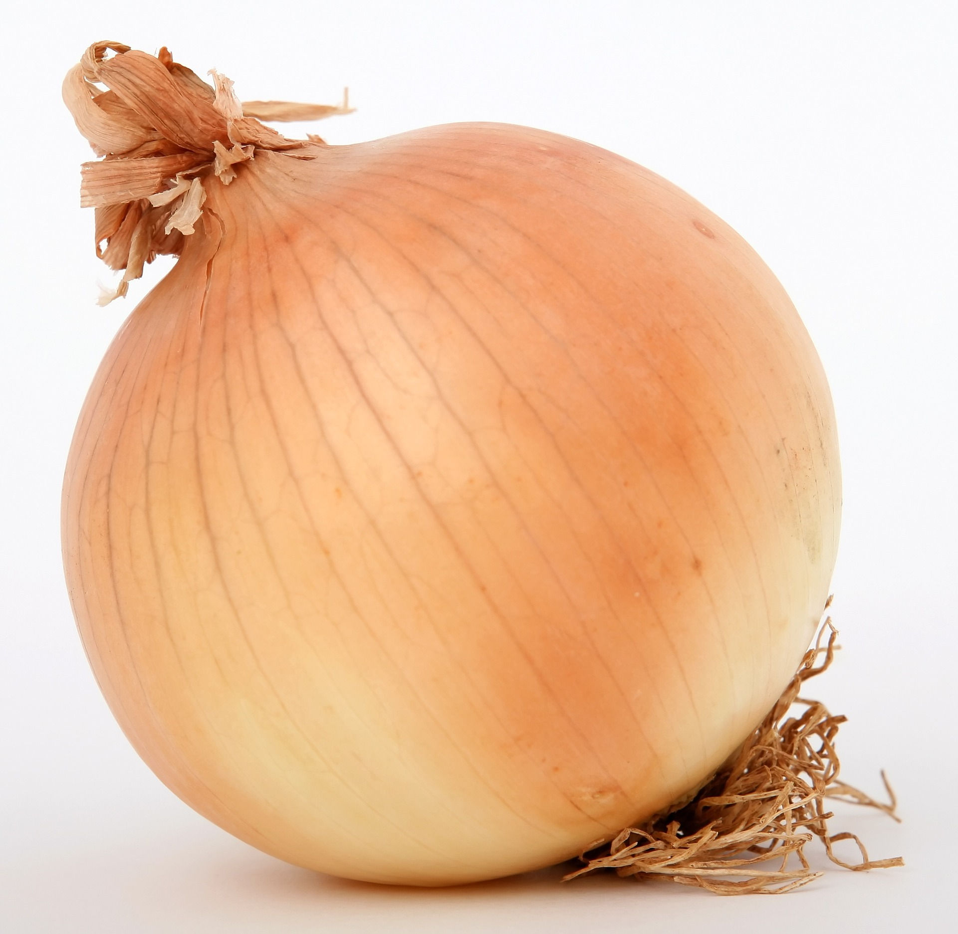 Onion - Texas Grano 1015Y