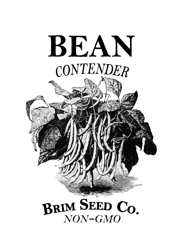 Thumbnail: Bean-Contender