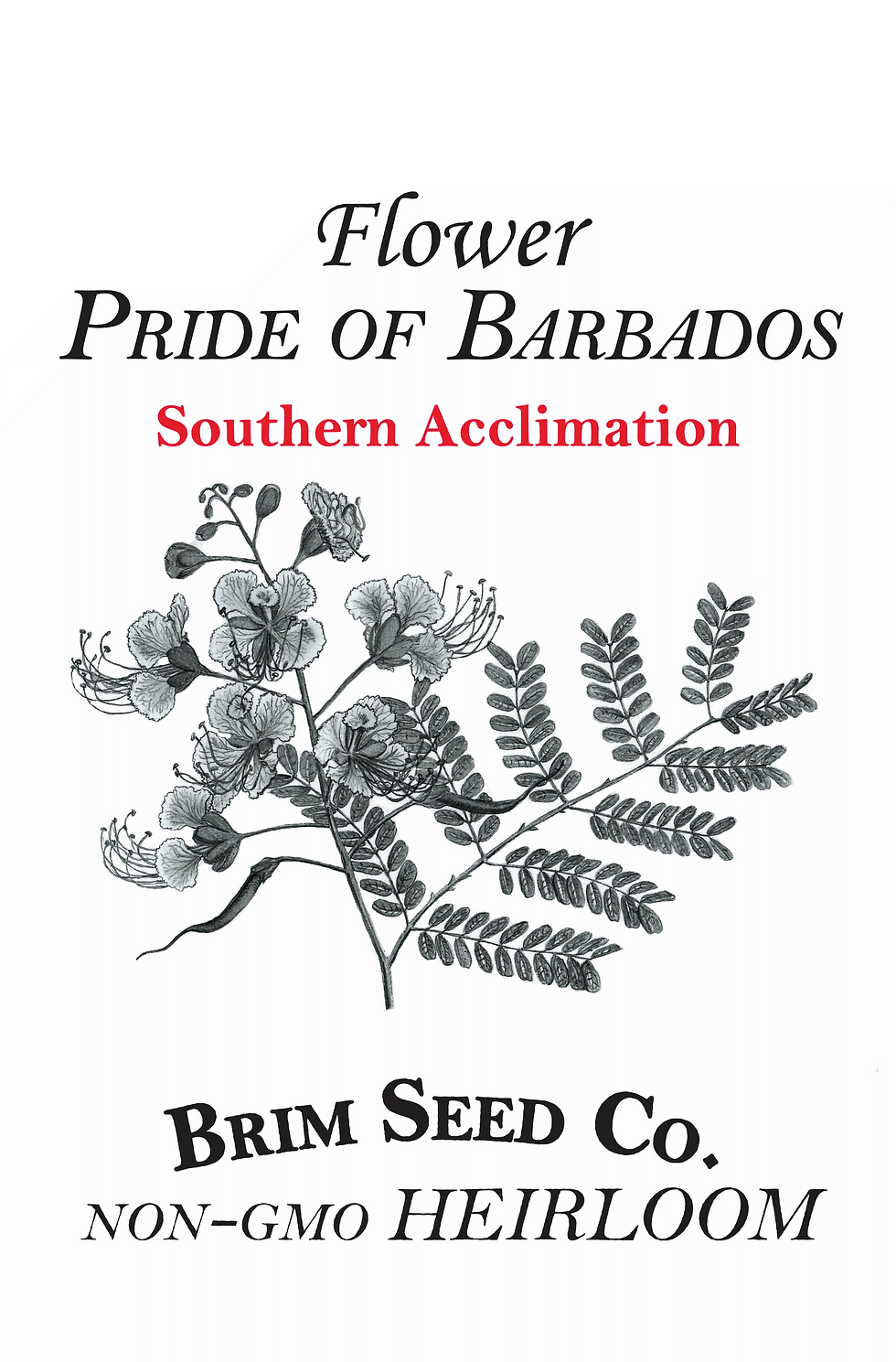 Thumbnail: Flower - Pride of Barbados (Southern Acclimated)