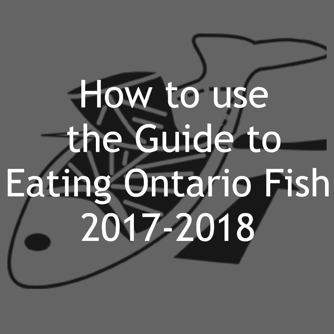 HOW TO: EATING ONTARIO FISH