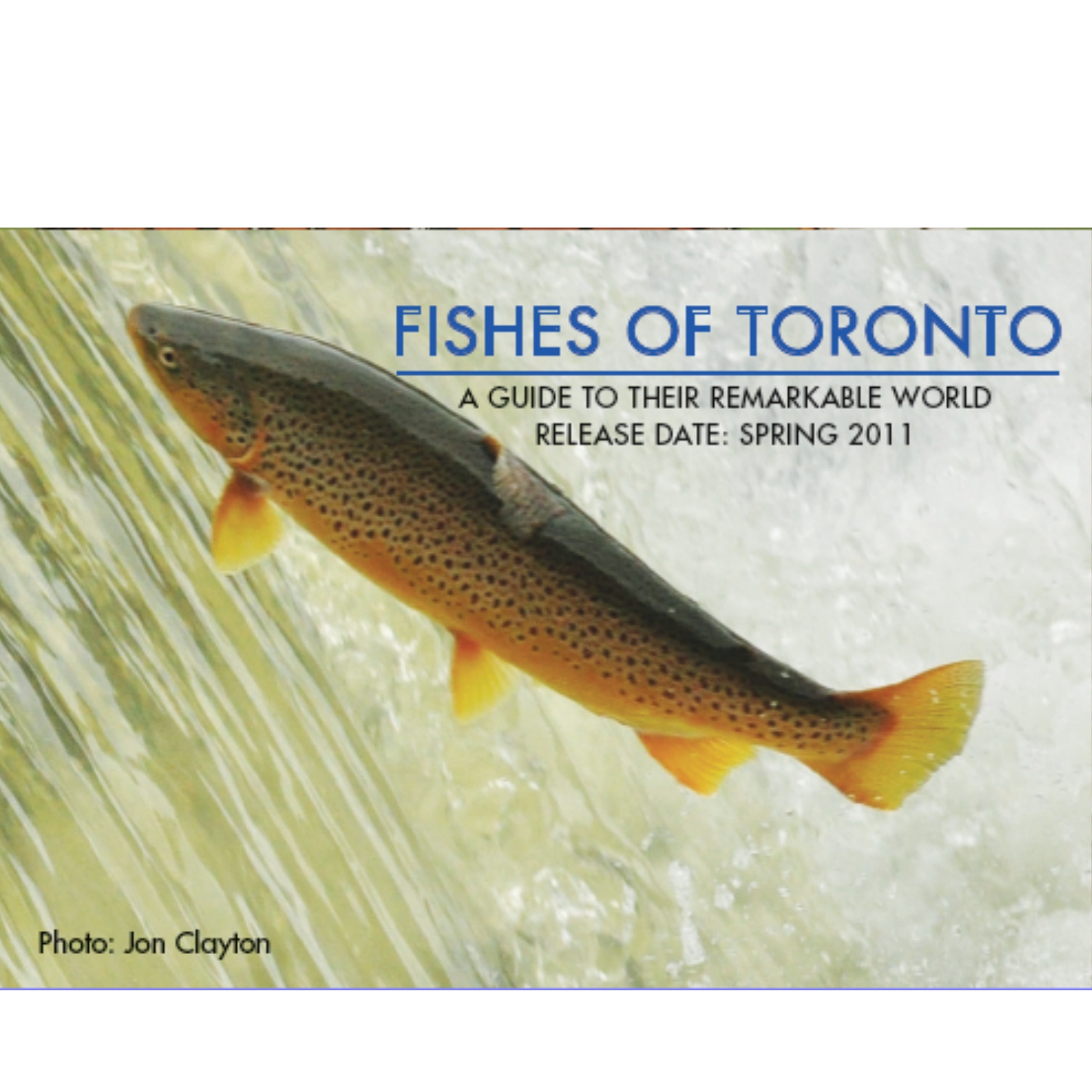 FISHES OF TORONTOB PT.1