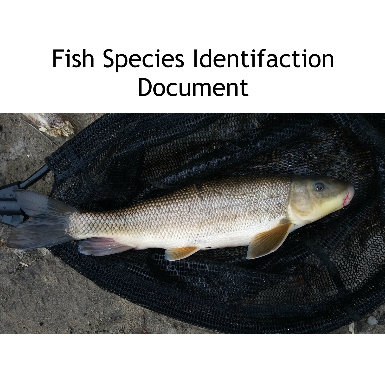 Fish Species Identification Document