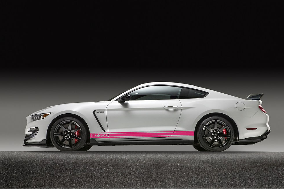 Thumbnail: 1965 GT350 Style stripes for 2015 - 2020 GT350 body