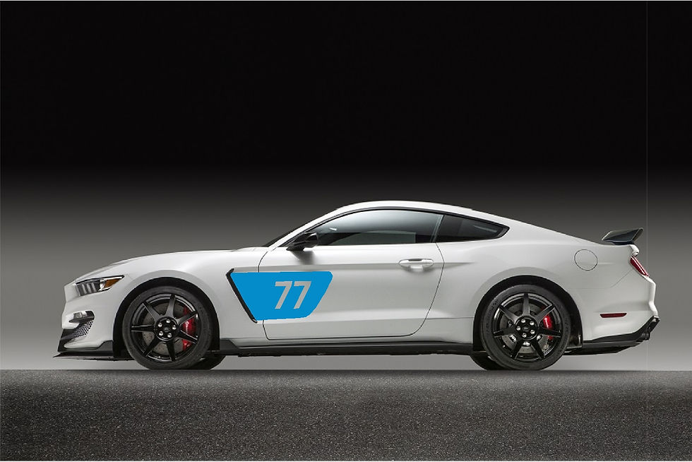 Thumbnail: GT350/R "FP350S" Style Track Numbers