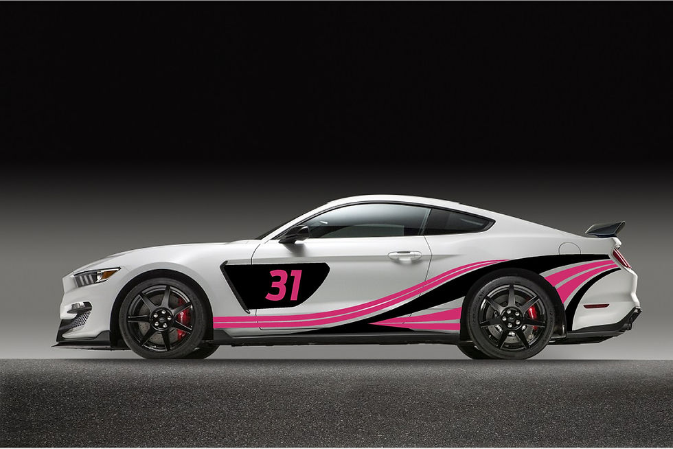 Thumbnail: Livery 3 Track # Package (NO SNAKE)