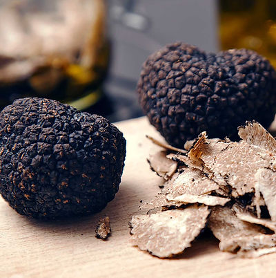 Un’immersione totale nel misterioso mondo del tartufo, un’esperienza esclusiva per appassionati di tour enogastronomici.
L’obiettivo è offrire un’emozione indimenticabile sia in mezzo alla natura che a tavola