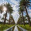 Thumbnail: Casablanca