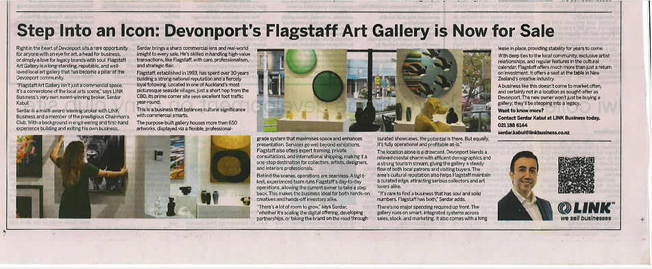 Flagstaff Art Gallery For Sale NZ Herald Serdar Kabul.jpg