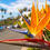 Thumbnail: Los Angeles