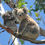 Thumbnail: Melbourne