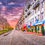 Thumbnail: Savannah