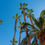 Thumbnail: Las Vegas