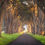 Thumbnail: San Francisco