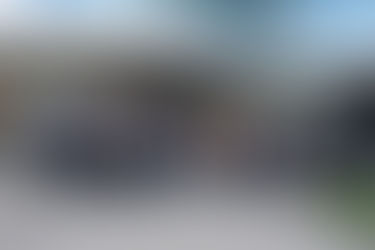 VITALITY: A new associated project in the Leibniz Research Alliance