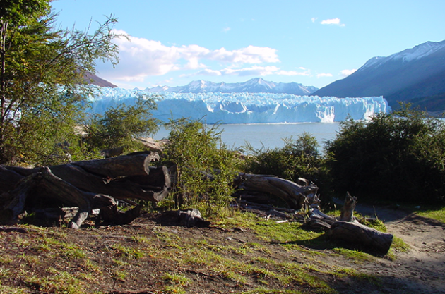 Patagonia Landscape