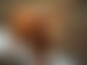 Highland cow in the mud 