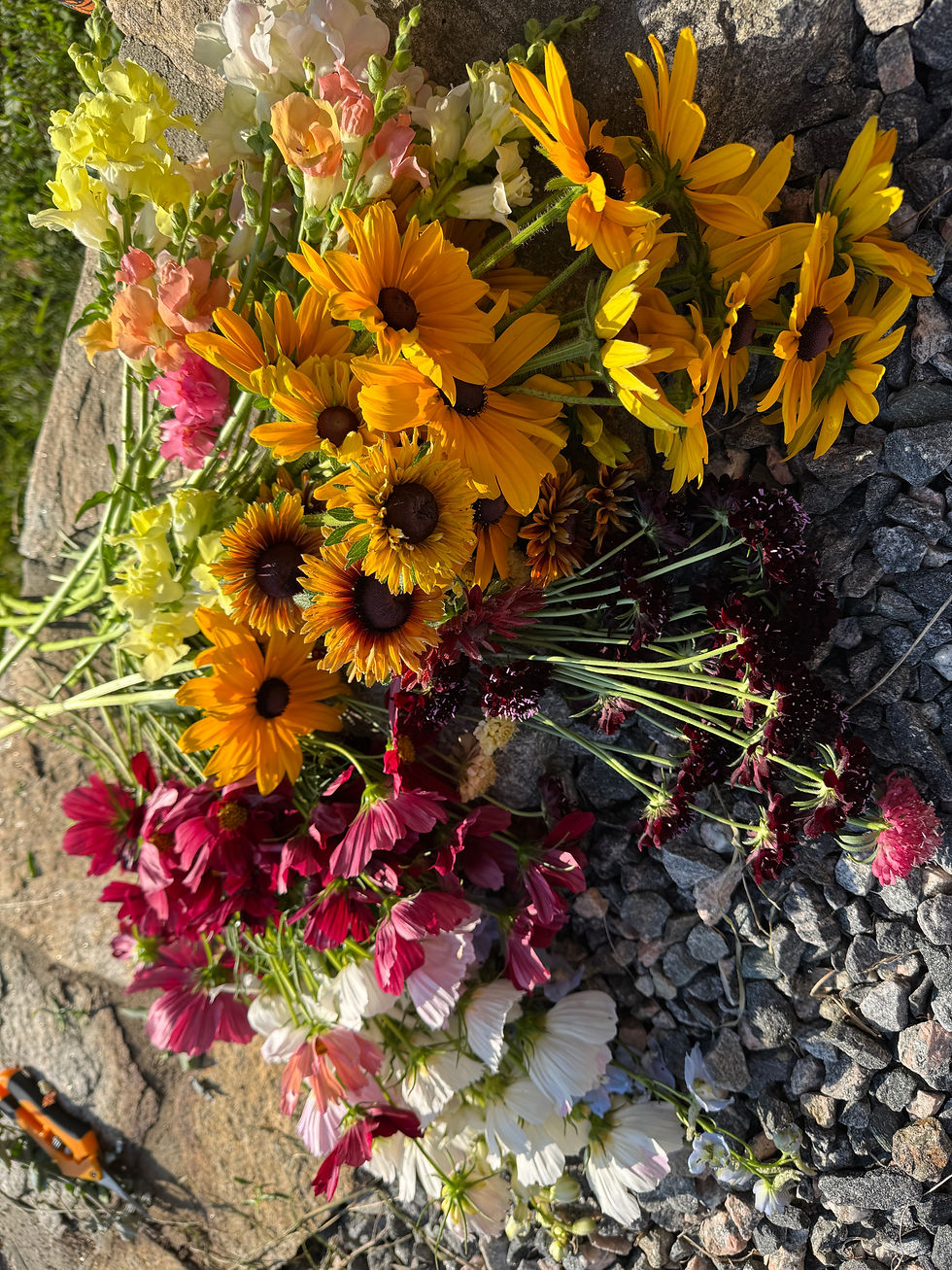 Bouquet Pickup Popup 8/6/26