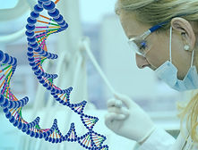 dna.jpg