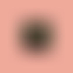 Tim Allen tells all on his big career comeback