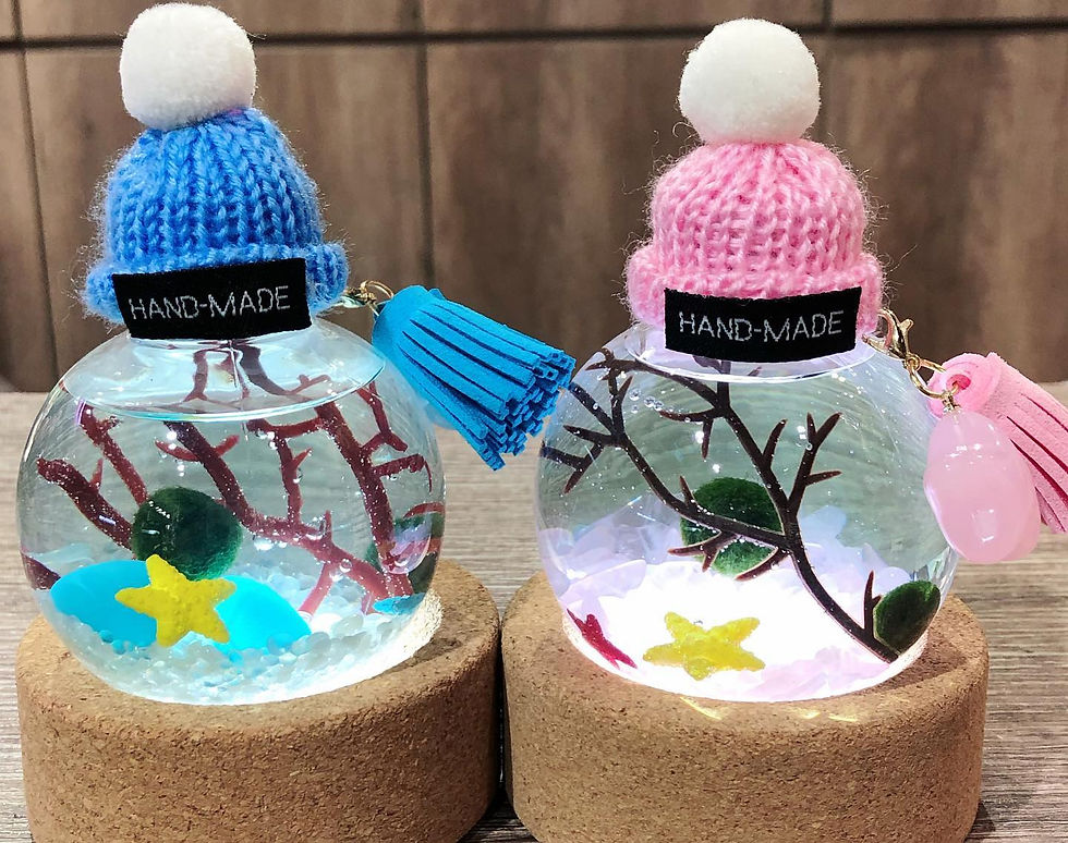 Marimo Balls