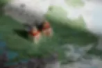 ree