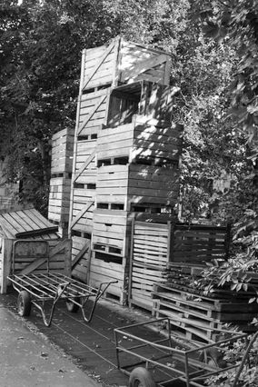 Hien DottelfelderHof.jpg