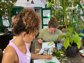 Create & Learn participants sketching and painting the various flora they found while walking through Saba's Botanical Garden.