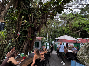 Celebrating Arbor Day with Trees, Trivia, and Community Spirit