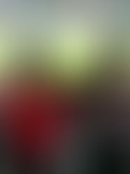 Şehirlerin plaka numaralarını temsilen 21-72 numaralı formalarla omuz omuz maç izleyen iki takımın taraftarları, tüm Türkiye'ye verdikleri mesajda ırkçılığın son bulmasını istedi