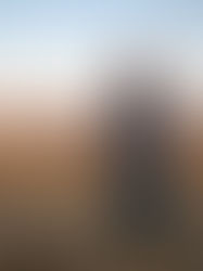 Siirt'in tek kadın muhtarı Berivan: "İtiraz etmişlerdi, şimdi örnek alıyorlar"