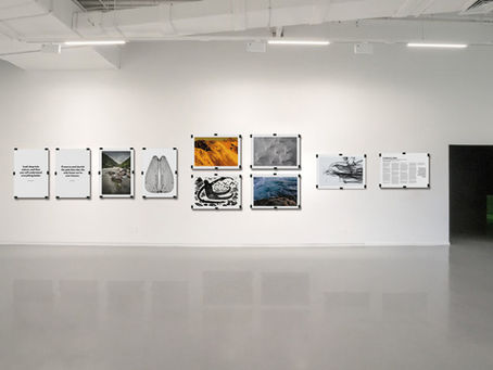 El poder de la Naturaleza  