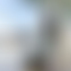 How You Can Have the Best Trip with the “New Normal”?