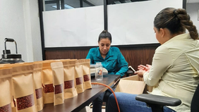 Gobierno de Sonora logra con éxito segunda cosecha de chiltepín de alta producción y fácil recolección: UTEchojoa