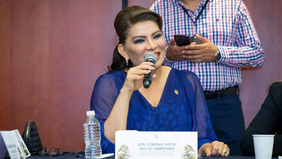 El sistema ferroviario conectará a la Ciudad de México con Nogales: senadora Lorenia Valles