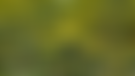 Gobierno de Sonora impulsa reconversión productiva con siembra histórica de cártamo