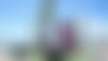 De Huatabampito a Bahía de Kino Durazo transforma la costa sonorense y potencia el turismo en Semana Santa