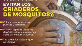 Gobierno de Sonora refuerza las acciones contra el dengue en todo el estado