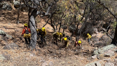 Gobierno de Sonora combate incendio forestal en Arizpe