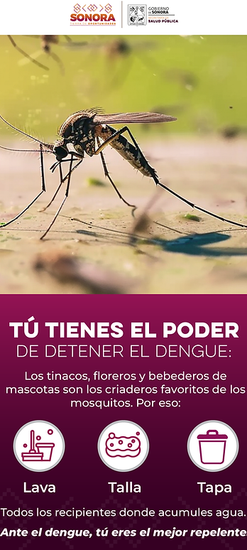 BANNERS PORTALES CAMPAÑA DENGUE SALUD_300X600.png