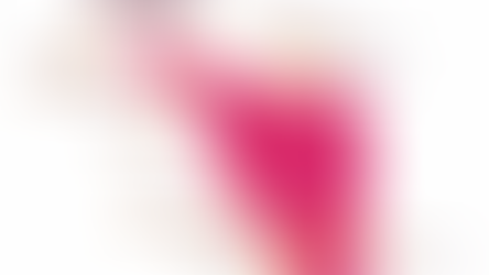 Protege Gobierno de Sonora a familias sonorenses a través del sistema SALVA