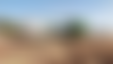 Llama Sagarhpa a productores de trigo panificable a realizar trámite de pago del ciclo 2024–2025