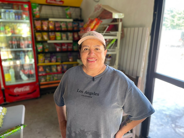 Marina Castellanos Parra