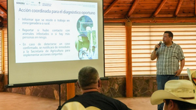 Gobierno de Sonora fortalece acciones de prevención contra el gusano barrenador en la entidad