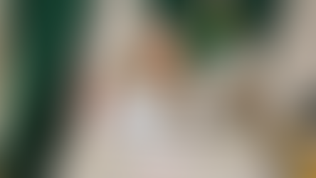 La fiscalización asegura que los recursos del pueblo regresen al pueblo en forma de bienestar: diputados PT