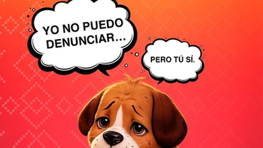Fomenta SSPC prevención del maltrato animal desde la niñez