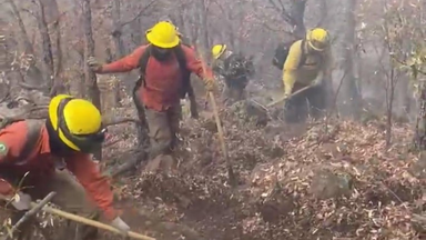 Gobierno de Sonora avanza en el combate de incendios forestales