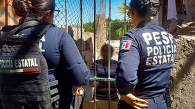 Reportes al 9-1-1 por violencia familiar se traducen en justicia: PESP